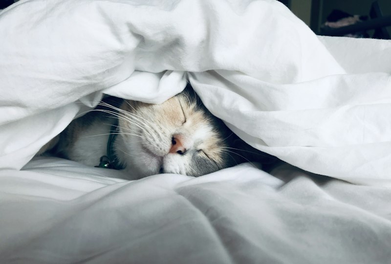 Reclaiming Restful Sleep: How Bodywork and Hydrotherapy Cure Restlessness